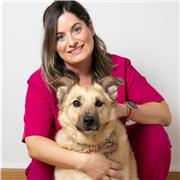 Profesora particular con más de 20 años de experiencia